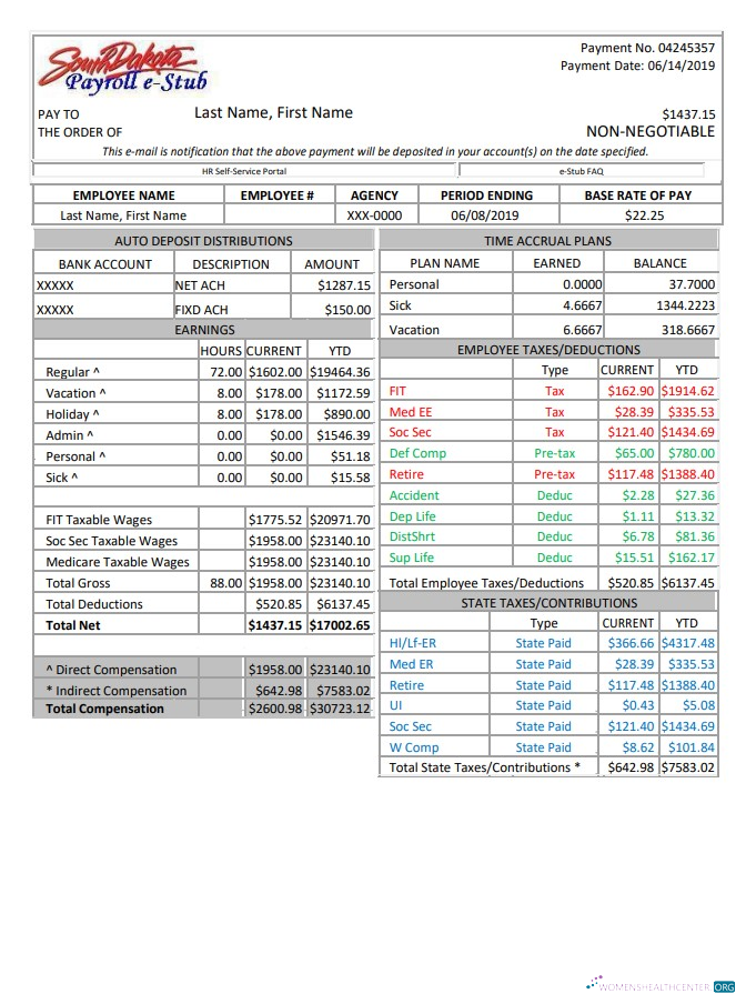 Download South Dakota payroll e stub Word and PDF template Photoshop template